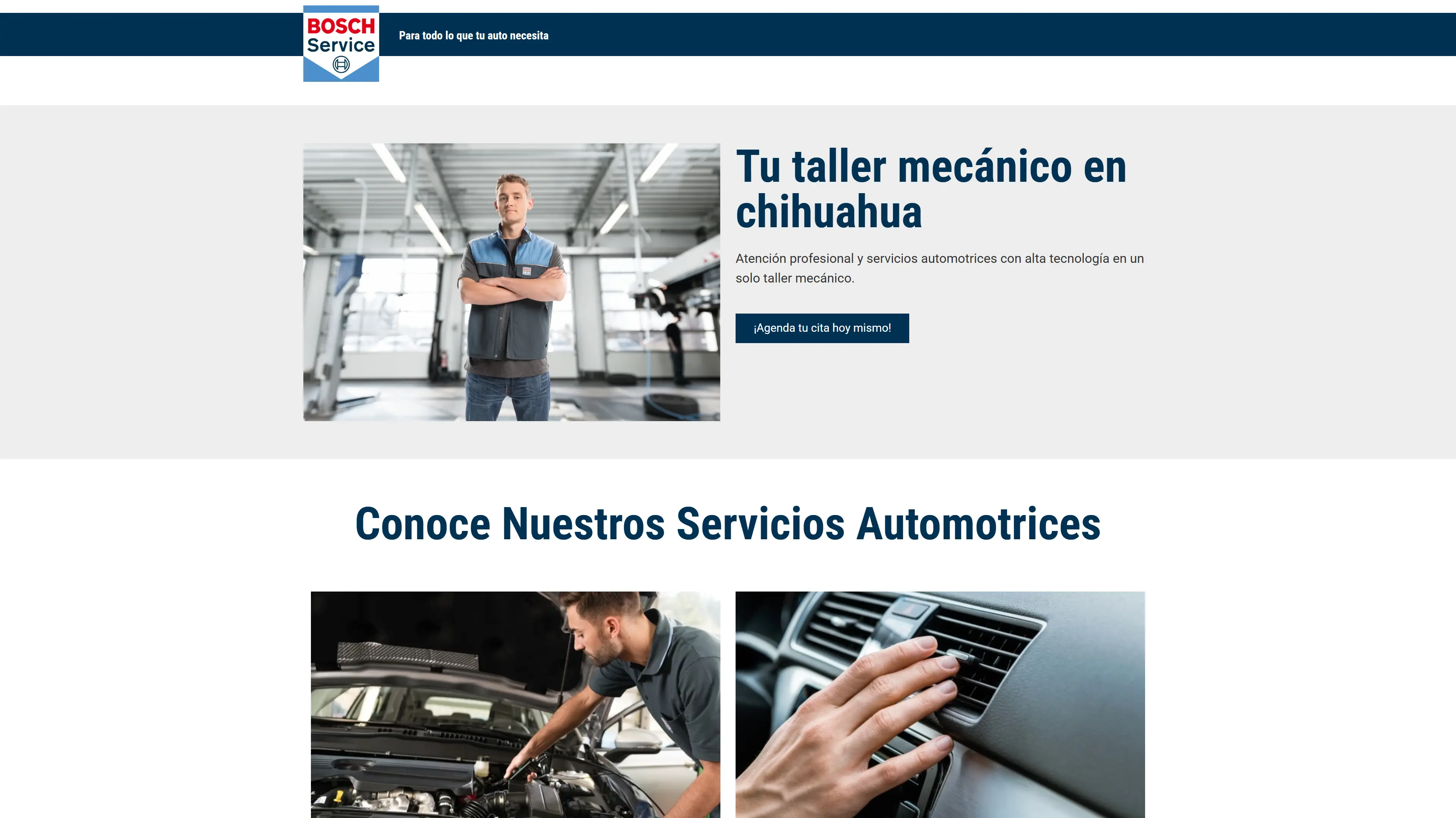 Local Autoshop preview